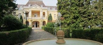 Erdgeschosswohnung mit großer Terrasse