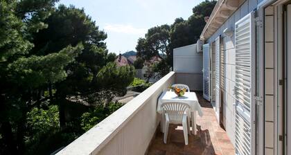 Apartment & Room Braica