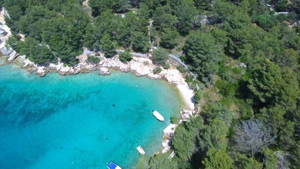 An aerial view of a coastal area with clear turquoise waters, rocky shoreline, and dense green forest. - Holiday Home Ivas (Milna)
