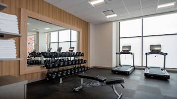 A gym with treadmills, dumbbells, and a bench.