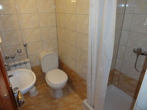 A bathroom with a toilet, bidet, and shower.
