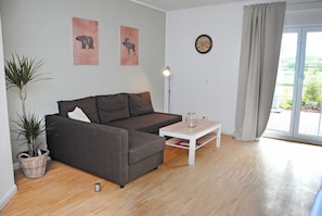 Fernseher, Bücher