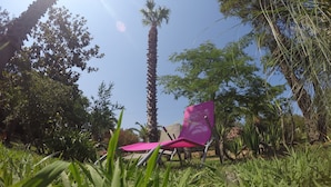 A chair in a garden with various plants and trees. - Studio 1km from the sea and river (Santa-Maria-Poggio)