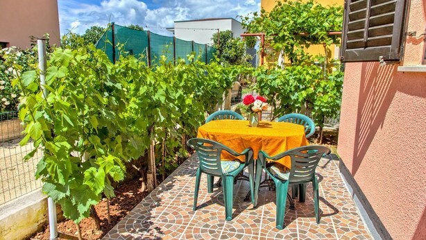 Un patio con mesa y sillas, rodeado de parras y un suelo de baldosas.
