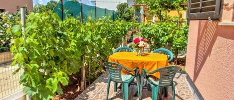 單棟房屋 | 露台/庭院