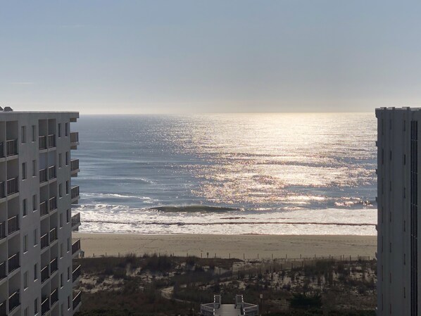 Beach nearby, sun loungers - Spring is here, and summer is right around the corner! Book a stay now! (Ocean City)