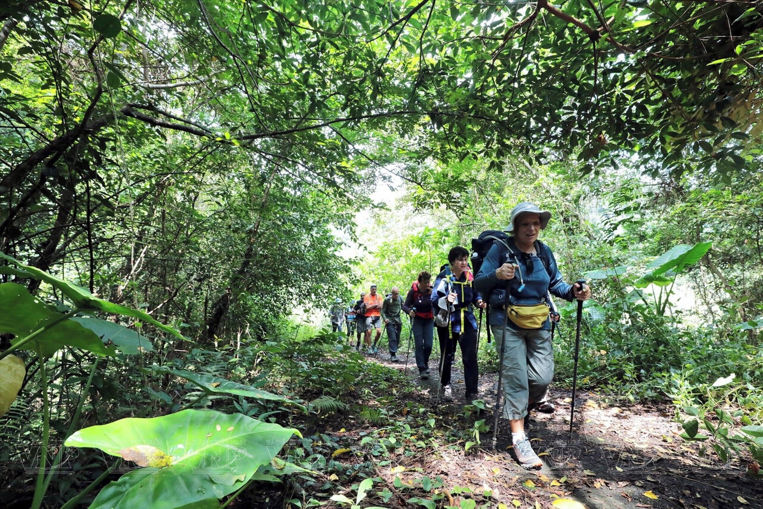 Un groupe de randonneurs traverse une forêt dense en empruntant un étroit sentier de terre.