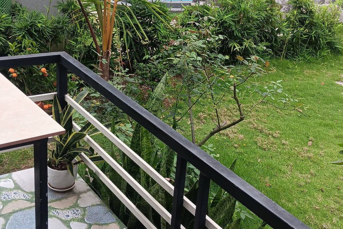 Un espace patio avec une piscine, entouré d’une végétation luxuriante et de fleurs violettes.