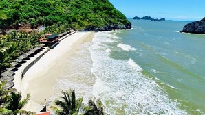 A beach with a bus, palm trees, and a clear blue sky. - Tran Chau Garden Home (Hai Phong)