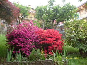A garden with vibrant pink and red flowers, surrounded by various plants and trees. - House Yanina (Bellano)