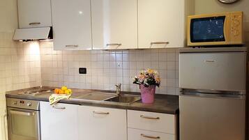 Apartment, 1 Bedroom | Private kitchen | Full-size fridge, microwave, oven, stovetop