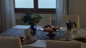 A dining table with chairs, a plant, and a plate of pastries.