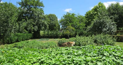 650 year old Perigord Farmhouse 5 Large Bedrooms & private pool
