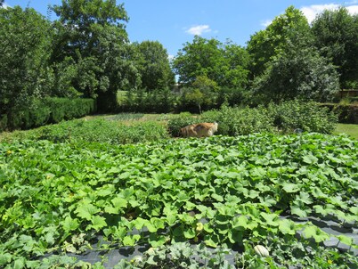 650 year old Perigord Farmhouse 5 Large Bedrooms & private pool