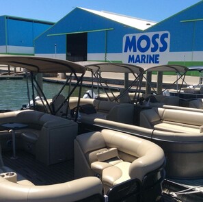 Property grounds - Best Location on FMB! WALK EVERYWHERE, Beach, times square, shops, restaurants! (Fort Myers Beach)