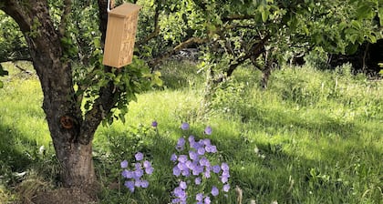 50 Schritte zu Mainradweg_sonniger Balkon ins Grüne, 2- 6 Gäste, verkehrsgünstig