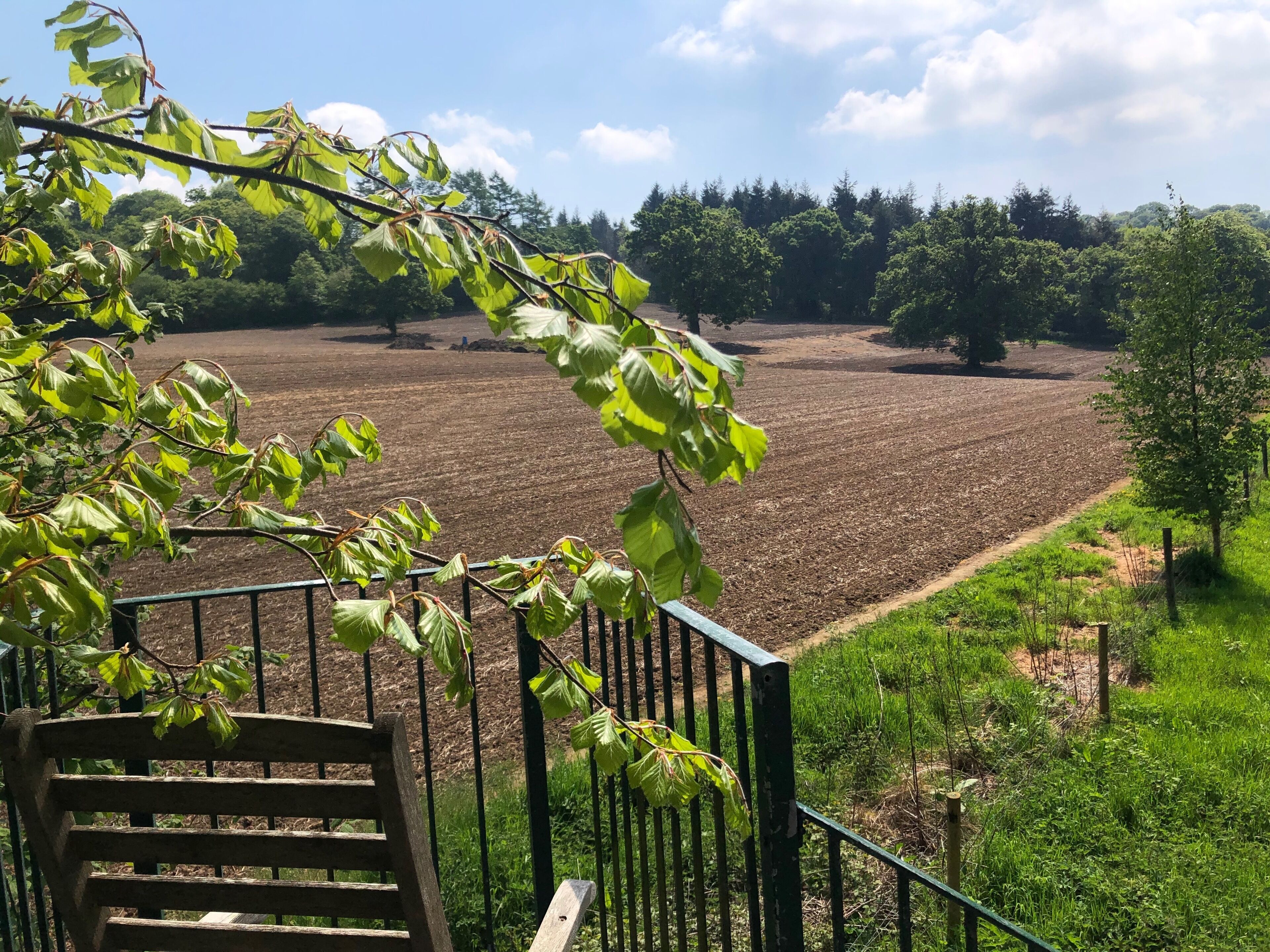 A view of a field with a wooden bench in the foreground and a metal railing.