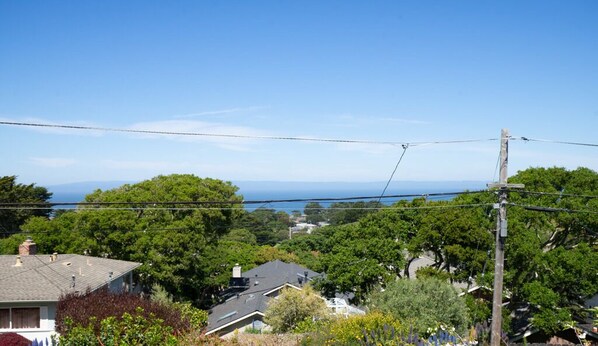 A residential area with houses, trees, and a clear view of the ocean.