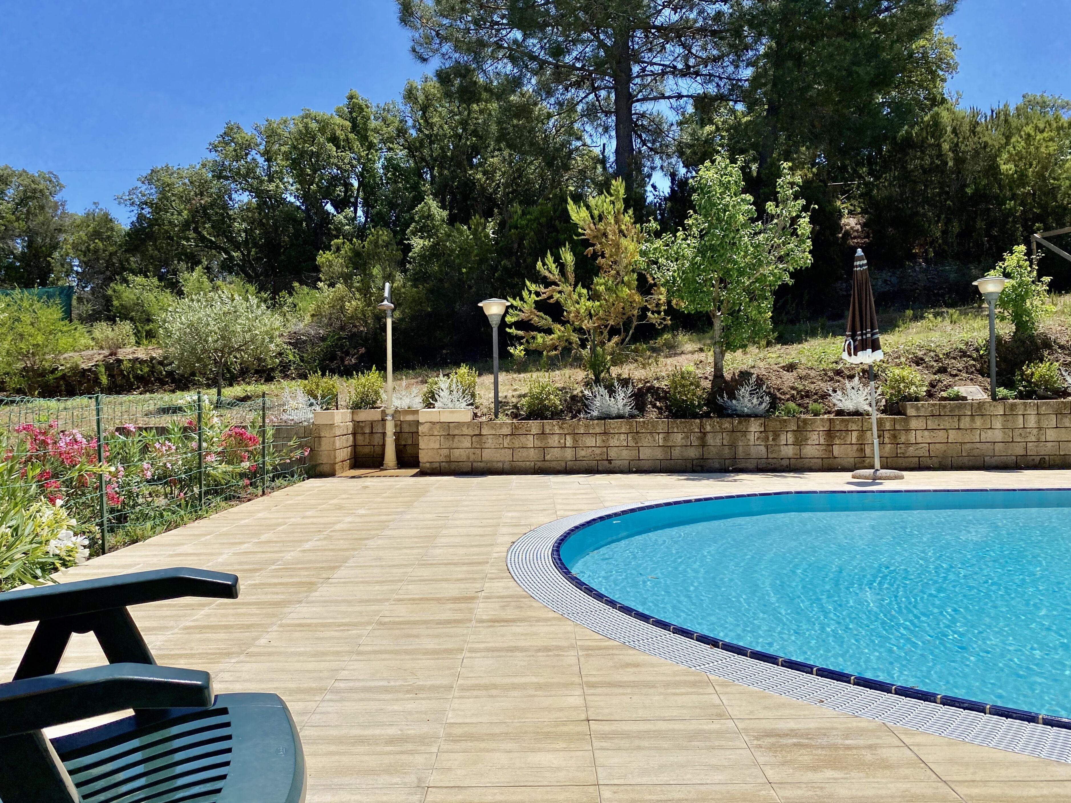 A swimming pool with a tiled deck, surrounded by a brick wall and various plants.