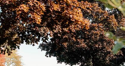 The White House! PRIME LOCATION BAY & RIVER VIEWS BAY CITY, MI