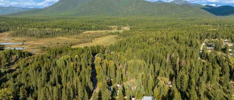 An aerial view of a forested area with a mountain in the background, a small settlement with buildings, and a road.