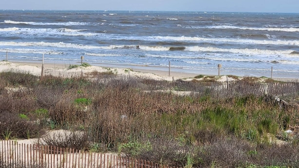 En strand med vågor, ett trästaket och gles vegetation.