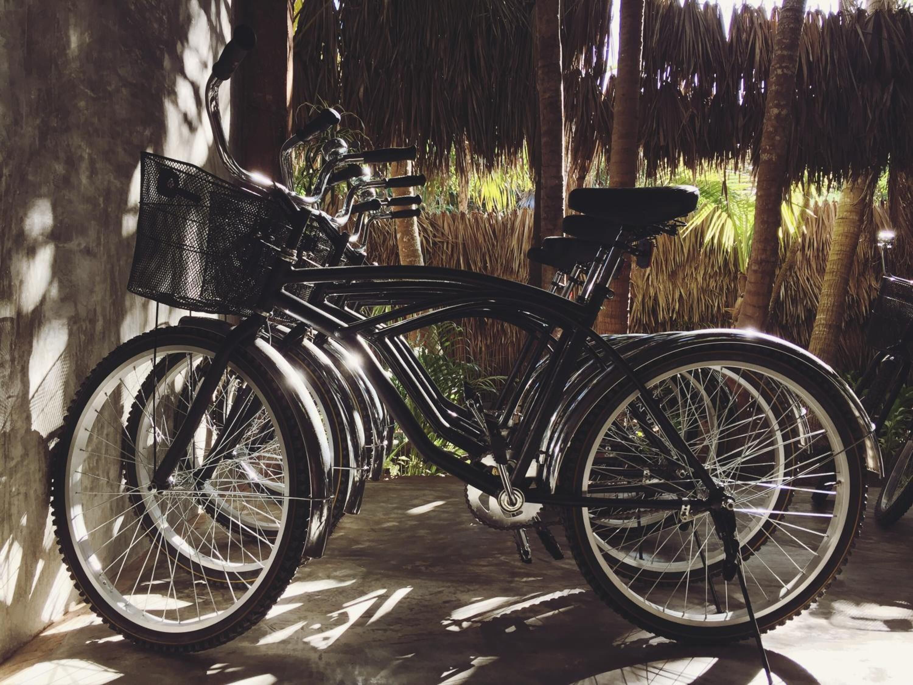 A black bicycle with a basket and a seat, parked outdoors with a concrete floor and palm trees in the background.