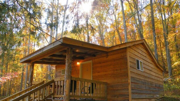 Une cabane en bois dotée d’un porche et d’un escalier, entourée d’arbres aux couleurs automnales.