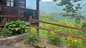 A wooden cabin with a porch, surrounded by lush greenery and a mountainous backdrop.
