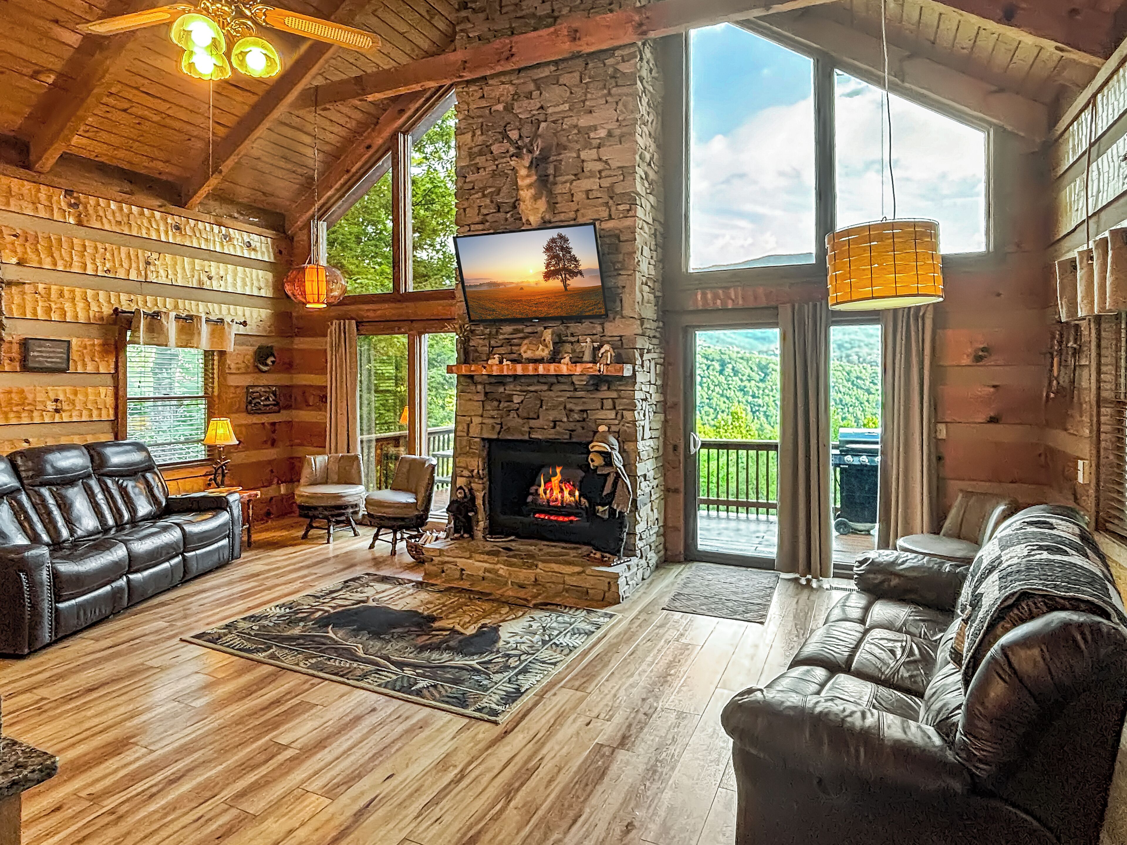Smart TV, fireplace, books