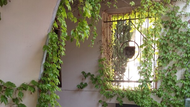 Uma área externa coberta com uma porta decorada com uma fita, uma janela com grades de metal e um vaso de planta.