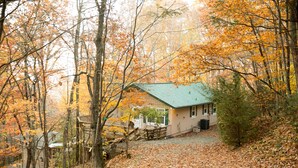 A cabin with a green roof nestled in a forest, surrounded by autumn leaves.