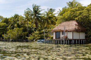 免费 WiFi、床单