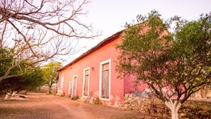 A pink building with a dirt path leading to it, surrounded by trees and a stone wall. - HACIENDA Blanca Flor CAMINO REAL (Hecelchakan)