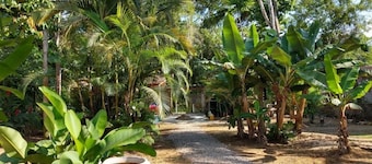 SUITE 3 - Coqueiros Itamambuca