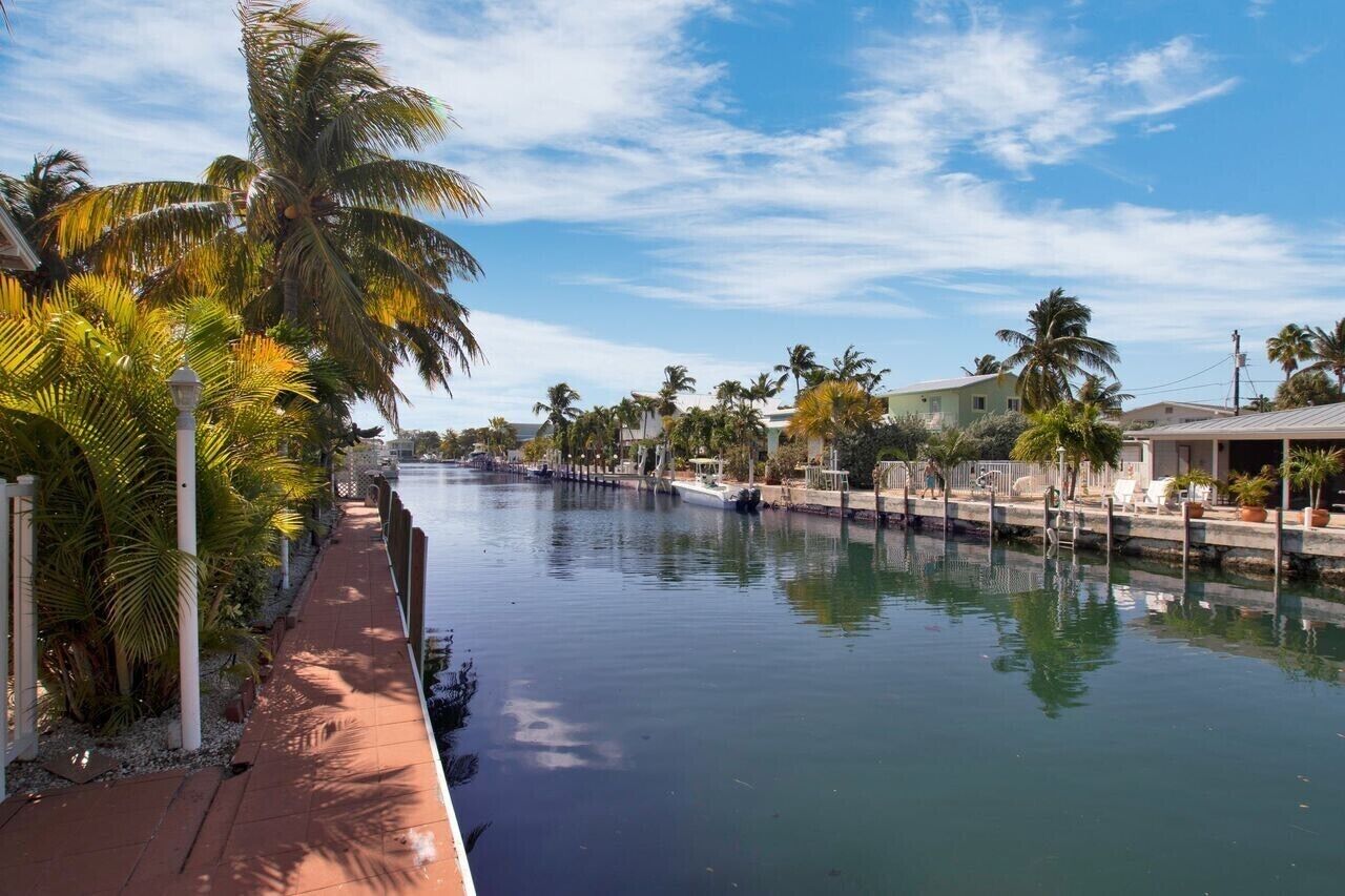A canal with a paved walkway lined with palm trees and a row of houses on the opposite side.