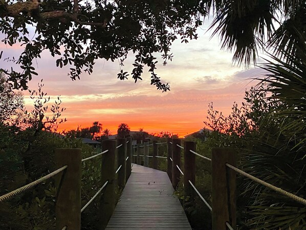 Stroll along the elevated boardwalk surrounded by lush greenery and palm trees.