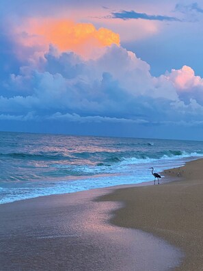 On the beach, sun-loungers, beach towels