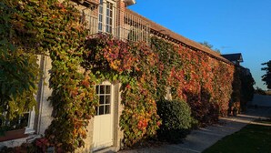 A building with a brick facade partially covered in ivy, a white door, and a small balcony with a metal railing.