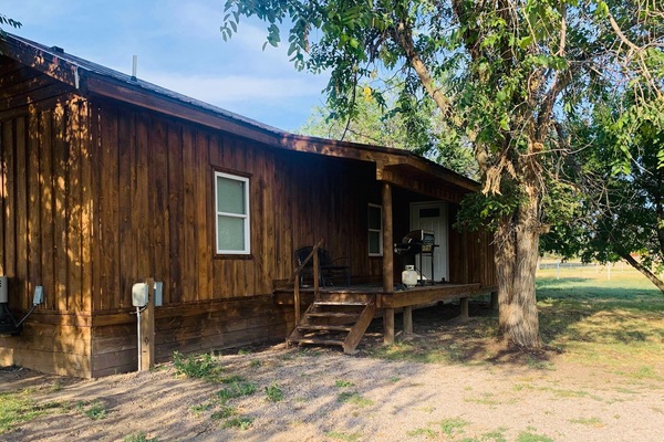 Horses graze freely outside the cabin.