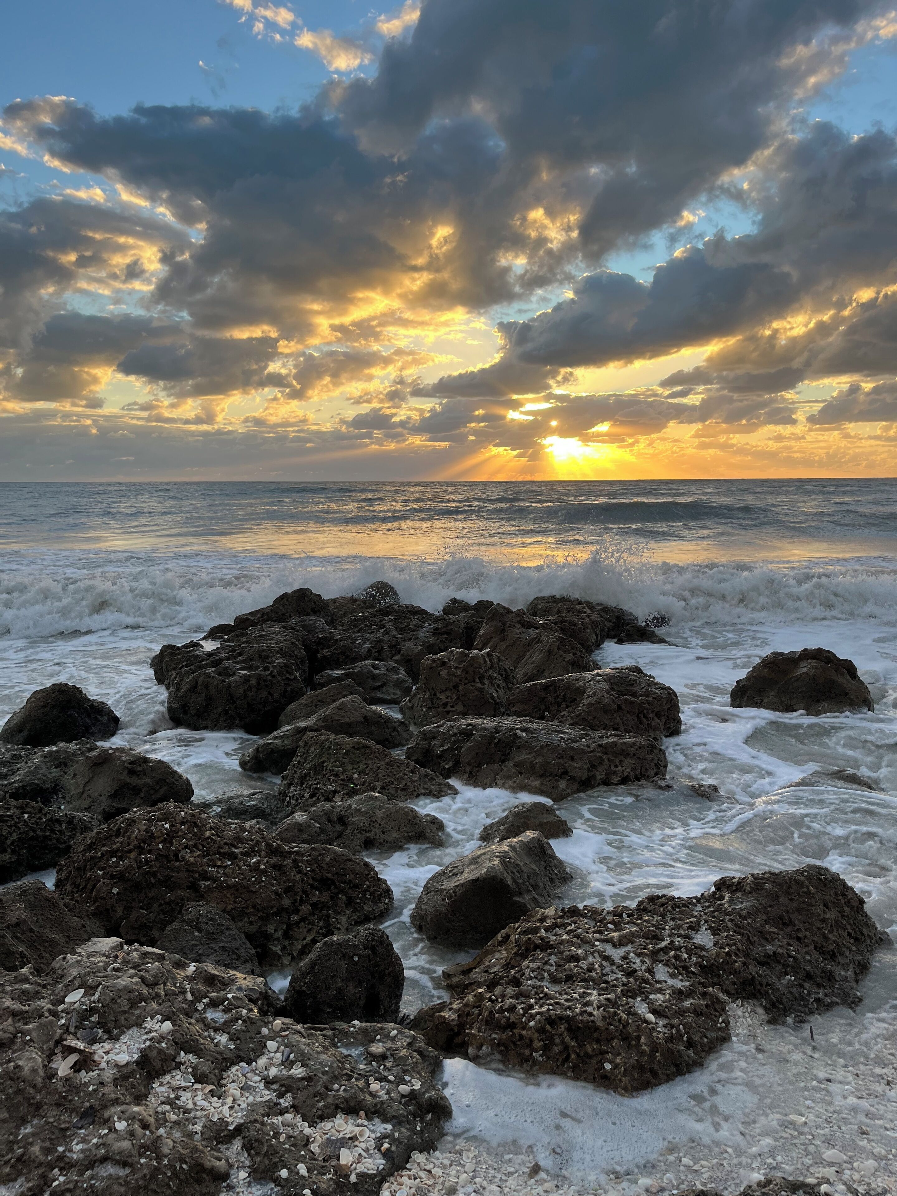 Nær stranden, solsenger og strandhåndklær