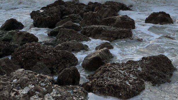 Una costa rocosa con olas rompiendo contra las rocas.