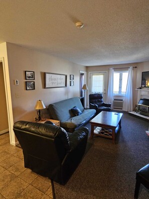 Smart TV, fireplace, books