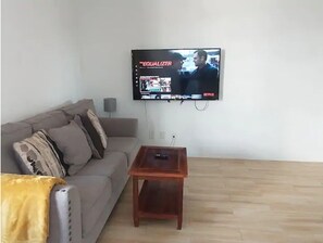 TV a schermo piatto, Netflix, servizi in streaming