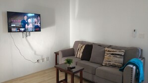 Ein Wohnzimmer mit grauem Sofa, einem kleinen Holztisch mit Pflanze und einem an der Wand montierten Fernseher, der eine Sendung zeigt.