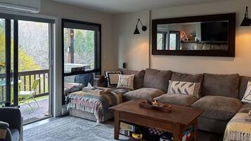 TV connectée, cheminée, livres, médiathÚque