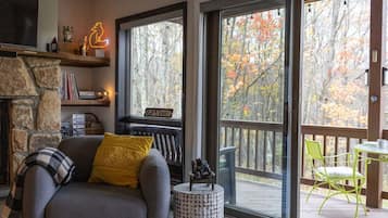 TV connectée, cheminée, livres, médiathÚque