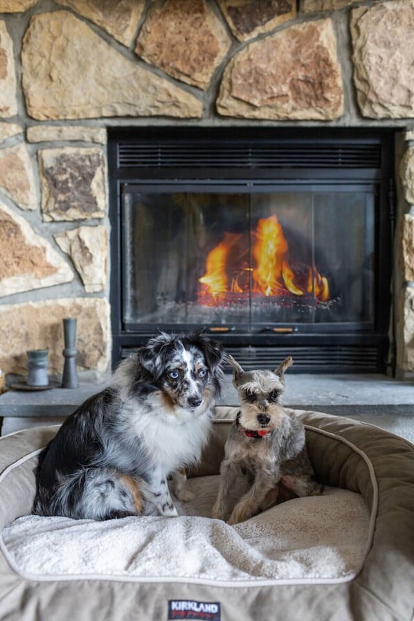 Two dogs in a cozy dog bed with a stone wall and a fireplace in the background.