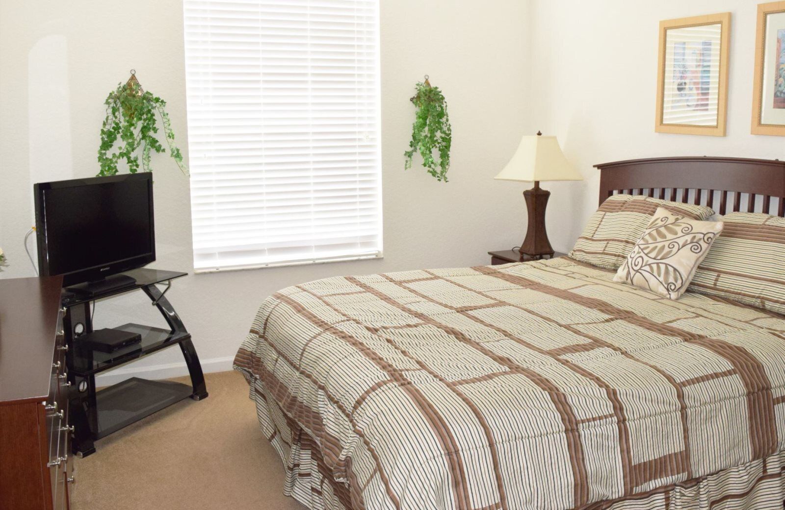 A bedroom with a bed, a TV on a stand, a lamp, and two wall-mounted plants.