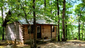 A rustic cabin surrounded by tall trees in a forest. - Couples Getaway Near Hot Springs-Jacuzzi and Hot Tub Overlooking Mountains! (Bismarck)
